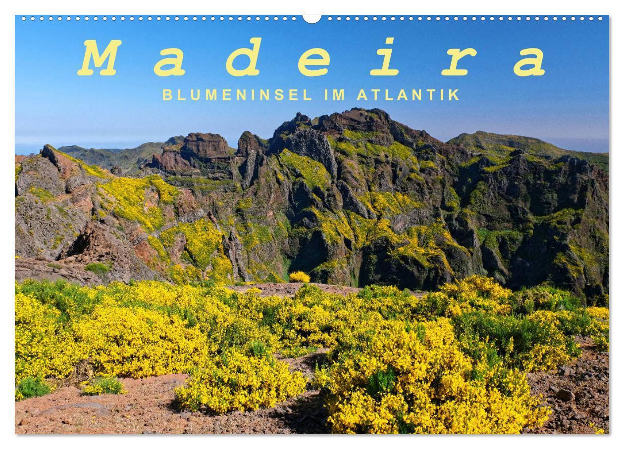 Cover: 9783383794193 | Madeira Blumeninsel im Atlantik (Wandkalender 2025 DIN A2 quer),...