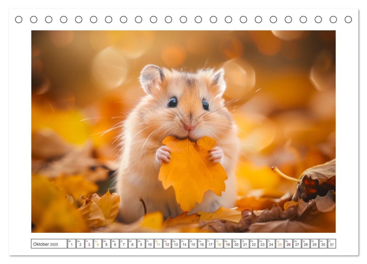 Bild: 9783435084876 | Lustige Hamster (Tischkalender 2025 DIN A5 quer), CALVENDO...