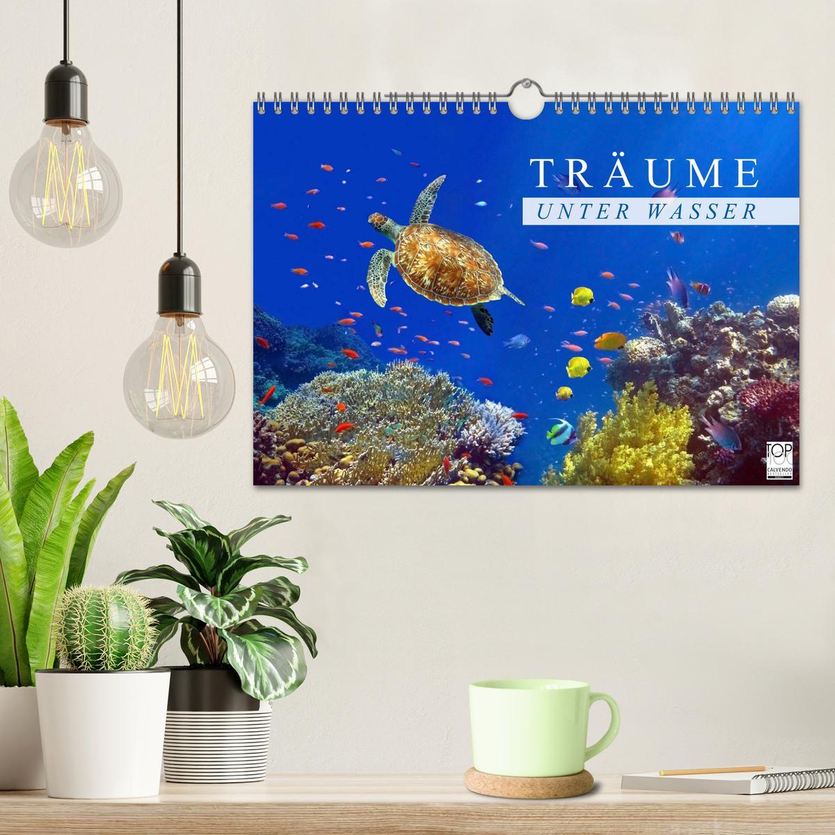 Bild: 9783435659609 | Träume unter Wasser (Wandkalender 2025 DIN A4 quer), CALVENDO...