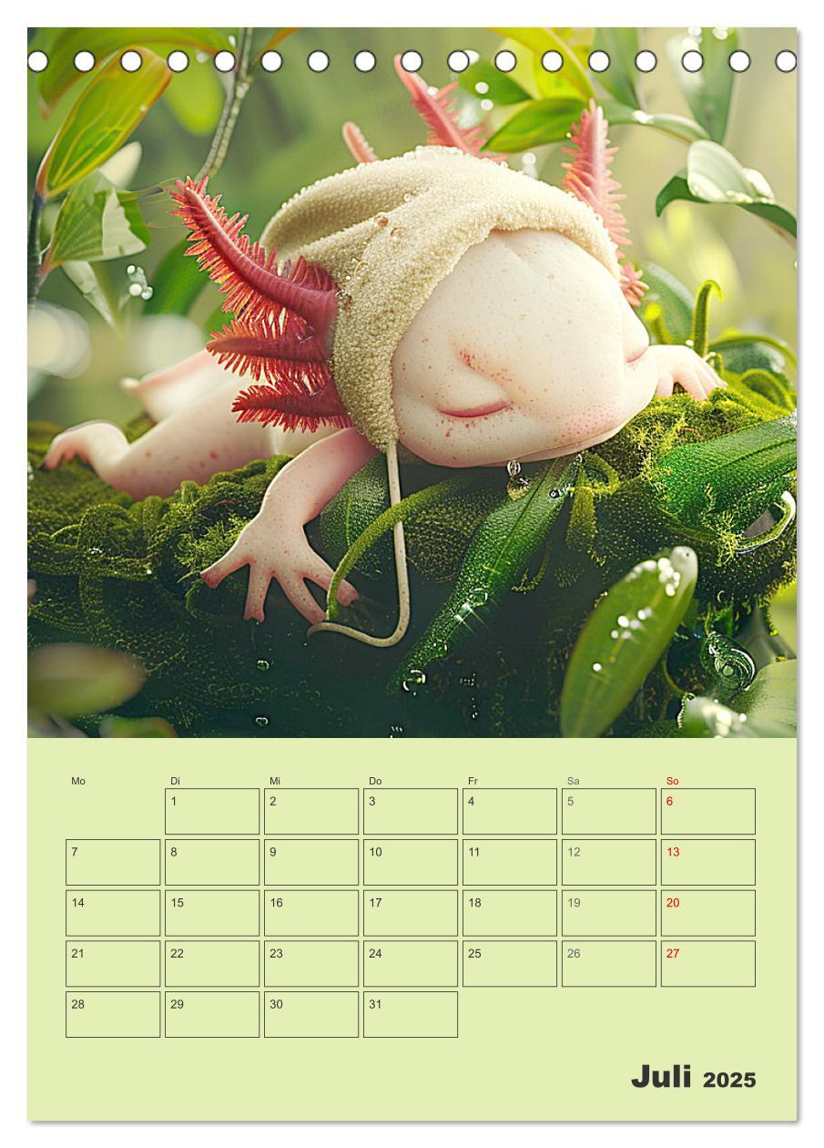 Bild: 9783383807909 | Axolotl. Lustiger Schwanzlurch mit Superkräften (Tischkalender 2025...