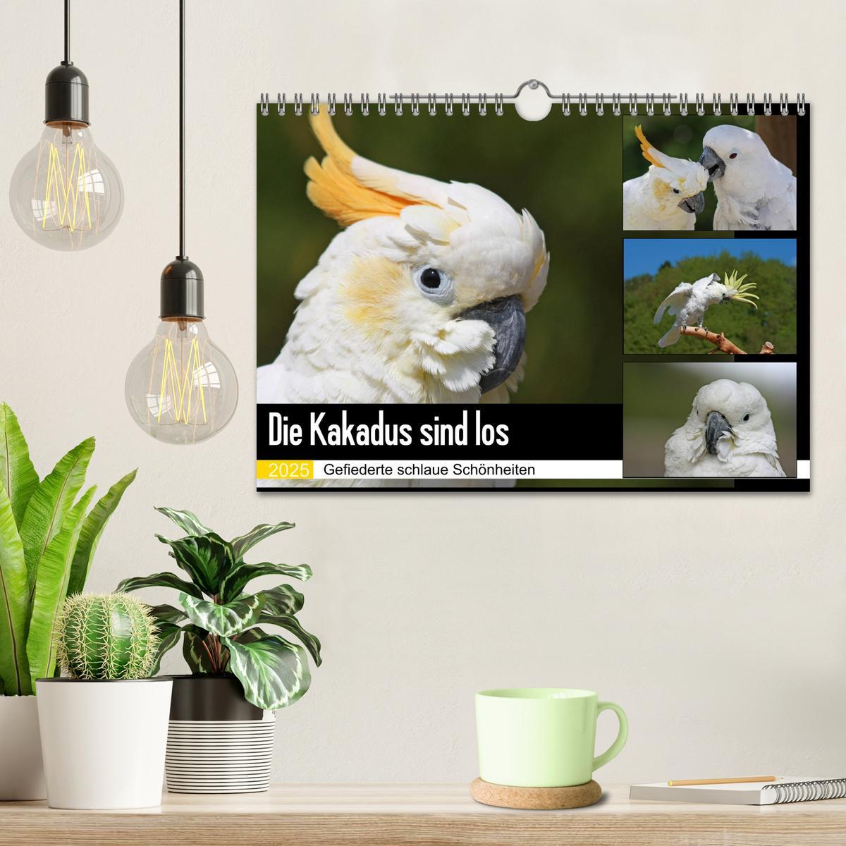 Bild: 9783435412518 | Die Kakadus sind los (Wandkalender 2025 DIN A4 quer), CALVENDO...