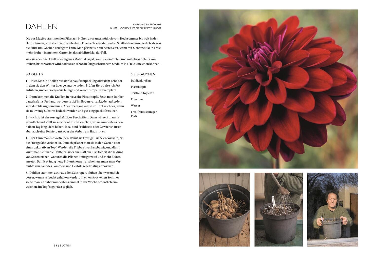 Bild: 9783831048717 | Das Gartenbuch | Monty Don | Buch | 352 S. | Deutsch | 2024