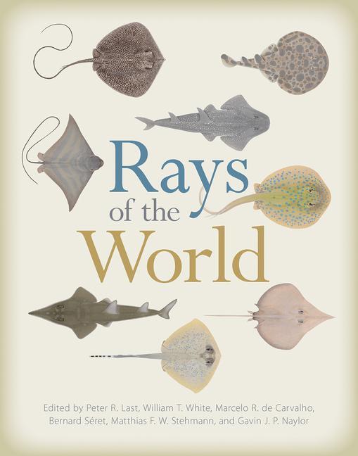 Cover: 9781501705328 | RAYS OF THE WORLD | Peter Last (u. a.) | Gebunden | Englisch | 2017