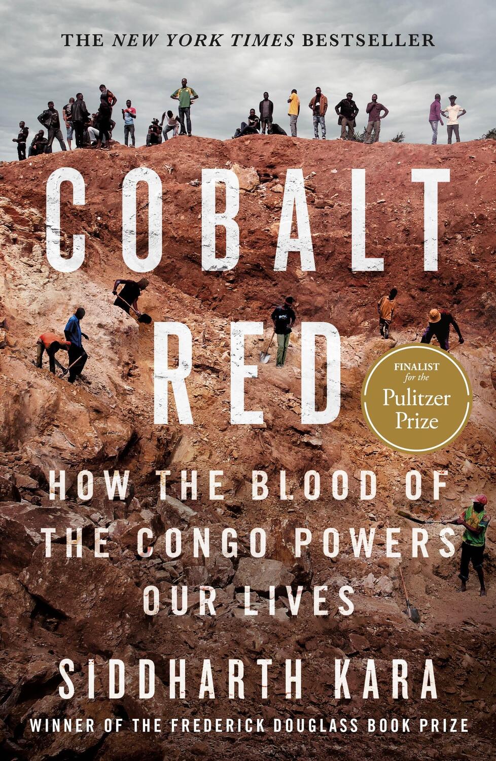 Cover: 9781250322159 | Cobalt Red | How the Blood of the Congo Powers Our Lives | Kara | Buch