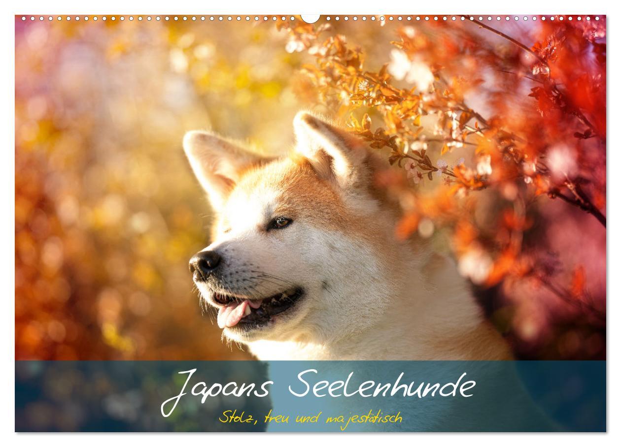 Cover: 9783435101504 | Japans Seelenhunde (Wandkalender 2025 DIN A2 quer), CALVENDO...