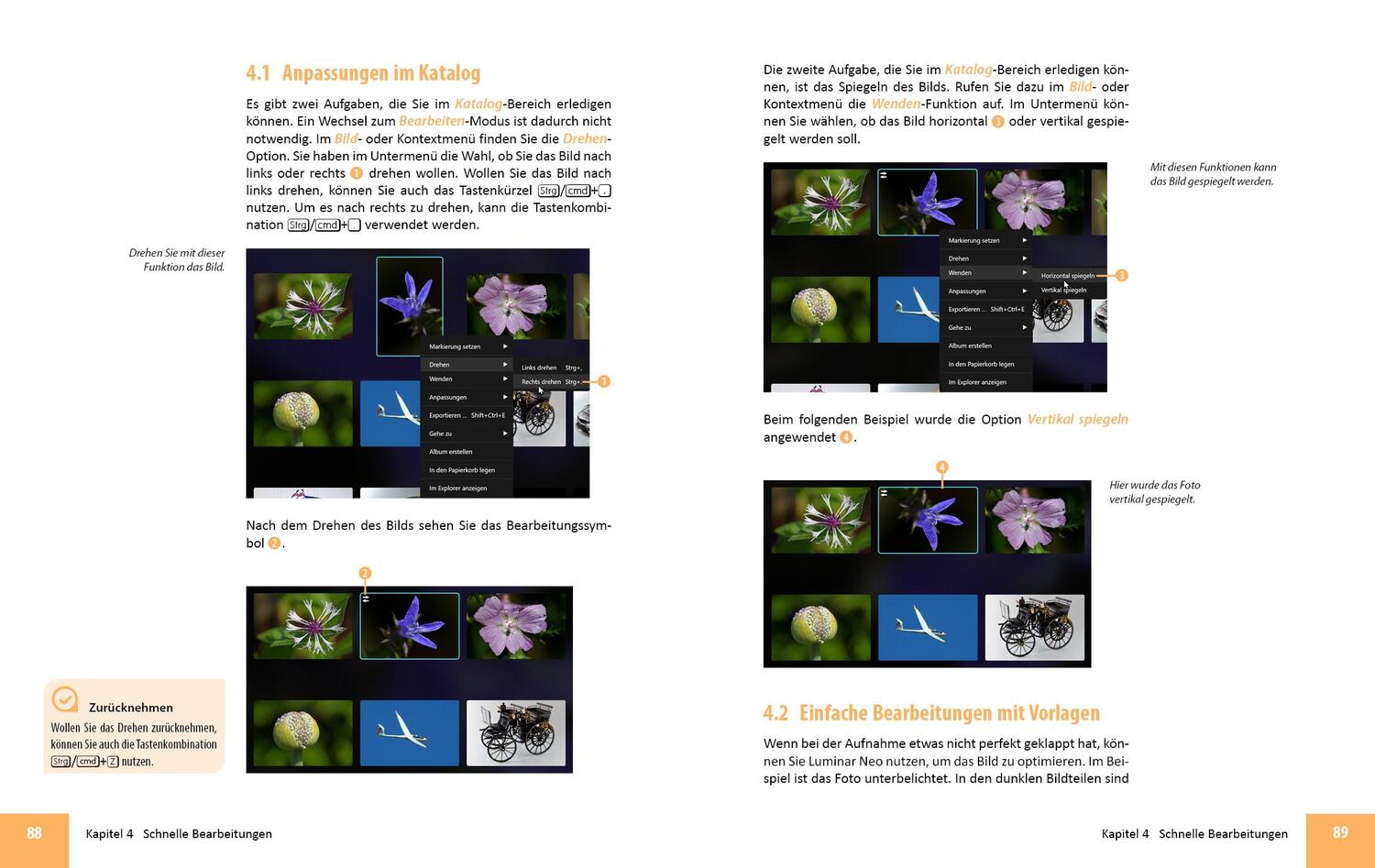 Bild: 9783832806217 | Luminar Neo Erweiterungen - Das umfassende Praxisbuch! | Gradias