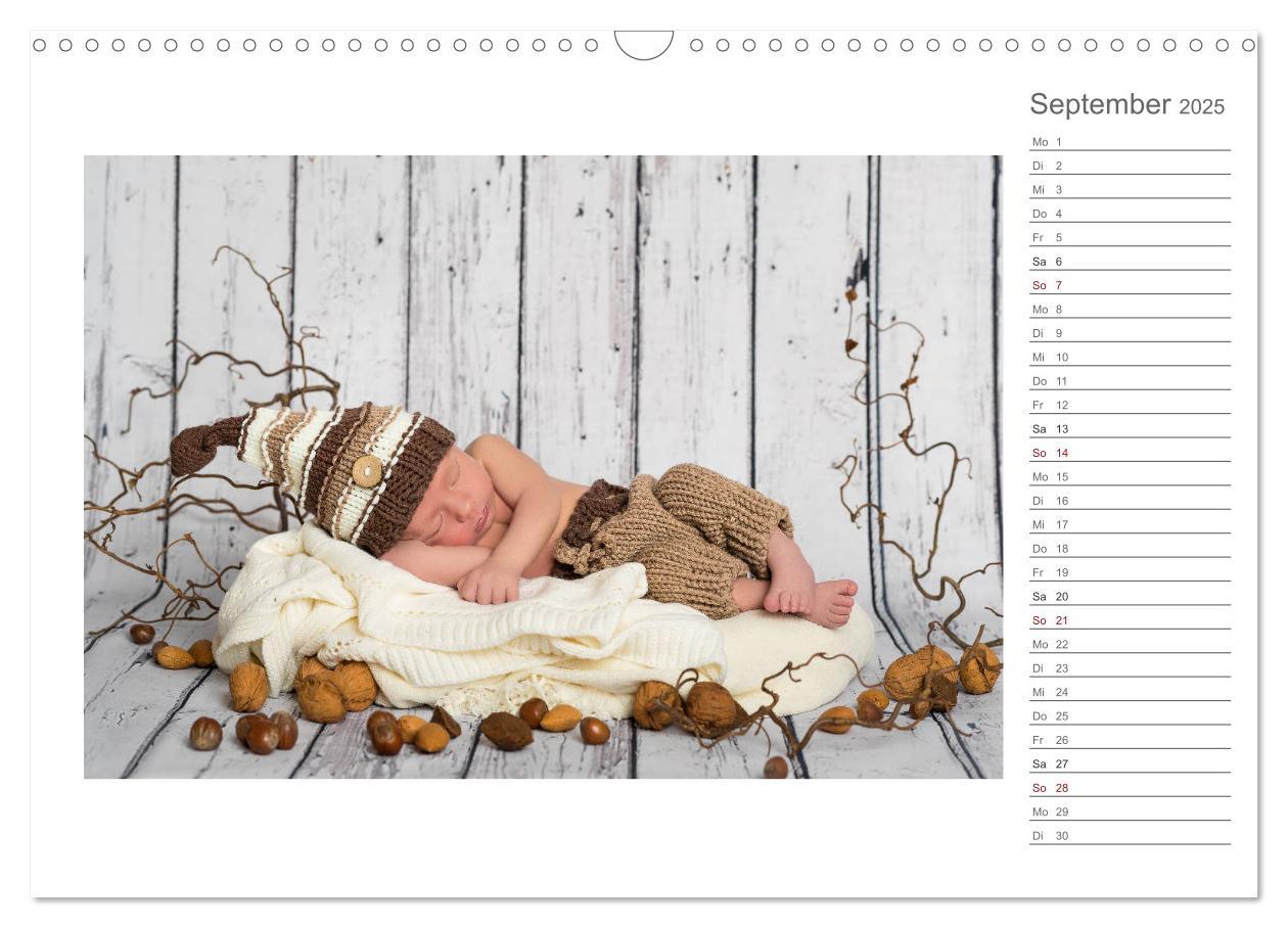 Bild: 9783435437924 | Aller Anfang ist klein - Babykalender mit Noah (Wandkalender 2025...