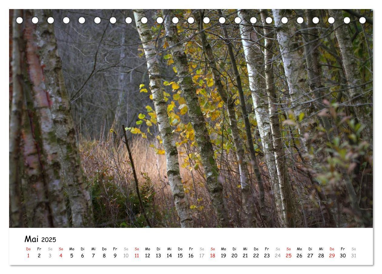 Bild: 9783435624126 | Unterwegs im Teufelsmoor (Tischkalender 2025 DIN A5 quer), CALVENDO...