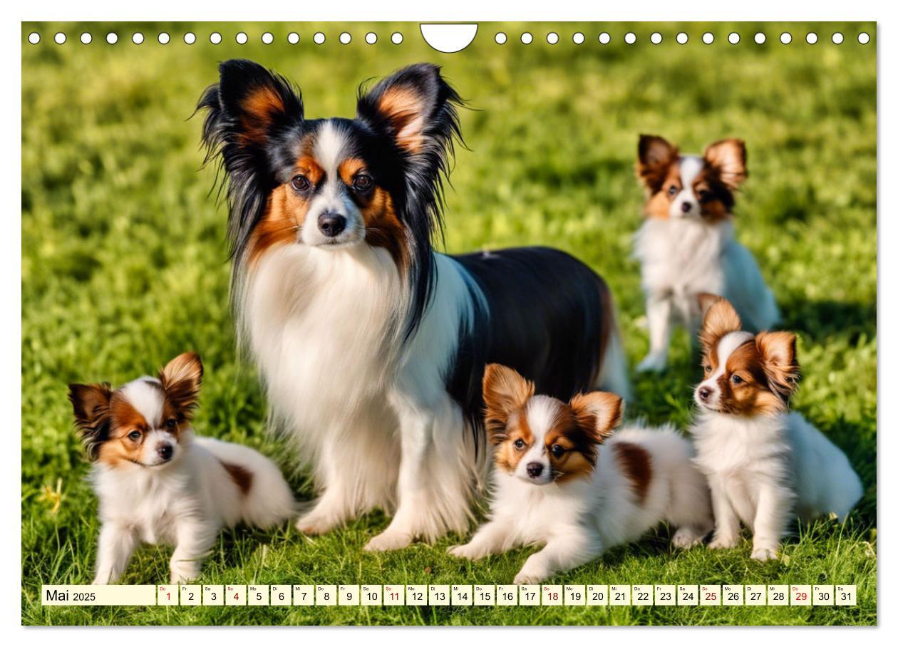 Bild: 9783457124581 | Papillon - bringt jedes Herz zum Schmelzen (Wandkalender 2025 DIN...