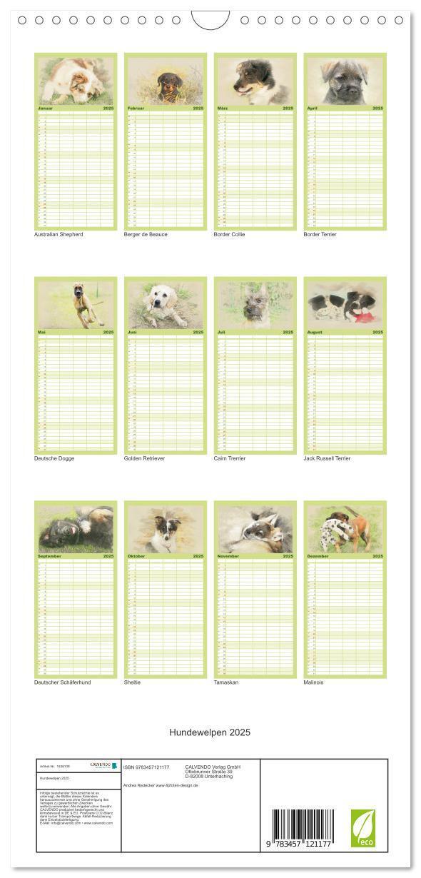 Bild: 9783457121177 | Familienplaner 2025 - Hundewelpen 2025 mit 5 Spalten (Wandkalender,...