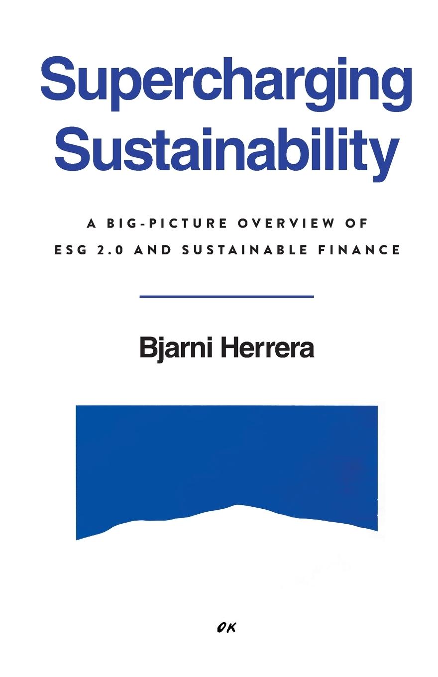 Cover: 9781962341370 | Supercharging Sustainability | Bjarni Herrera | Taschenbuch | Englisch