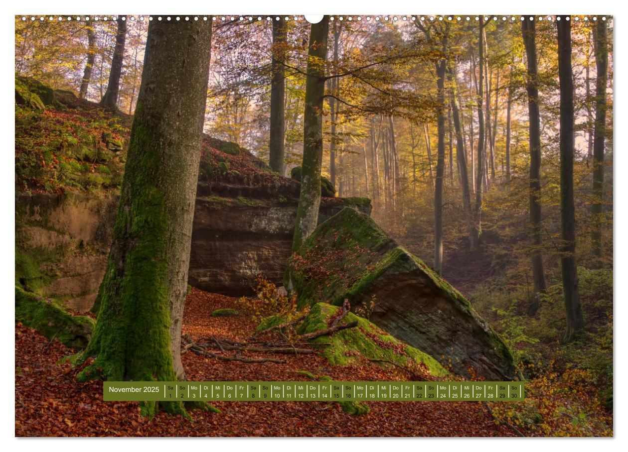 Bild: 9783383939112 | Magischer Pfälzer Wald (Wandkalender 2025 DIN A2 quer), CALVENDO...