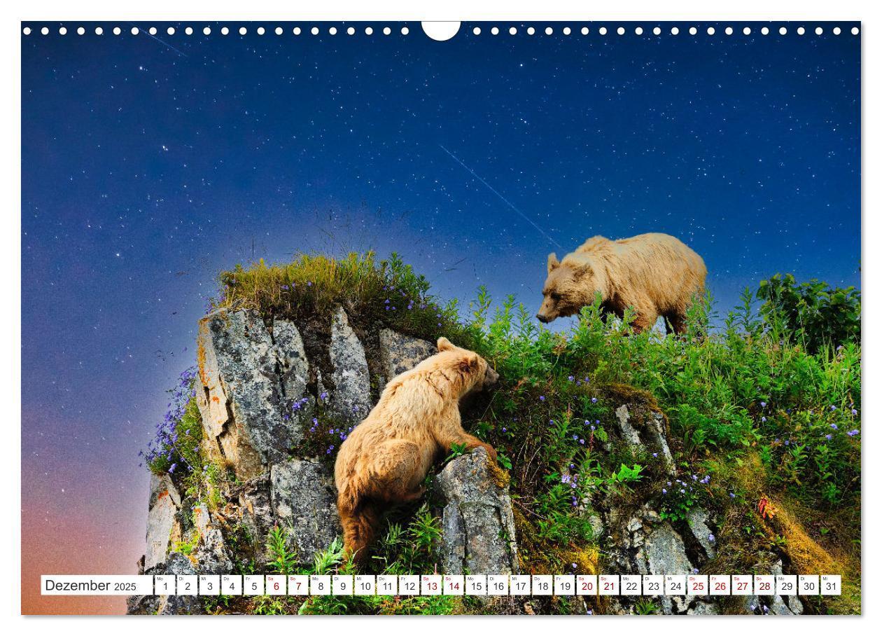 Bild: 9783383886898 | KANADA - Die Bären der Rocky Mountains (Wandkalender 2025 DIN A3...