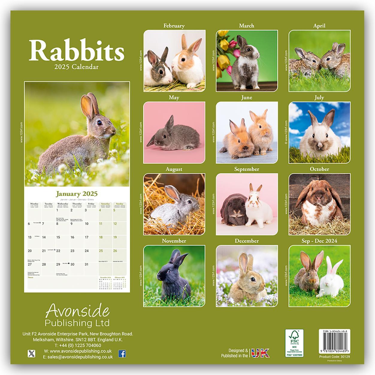 Rückseite: 9781804604489 | Rabbits - Kaninchen 2025 - 16-Monatskalender | Avonside Publishing Ltd