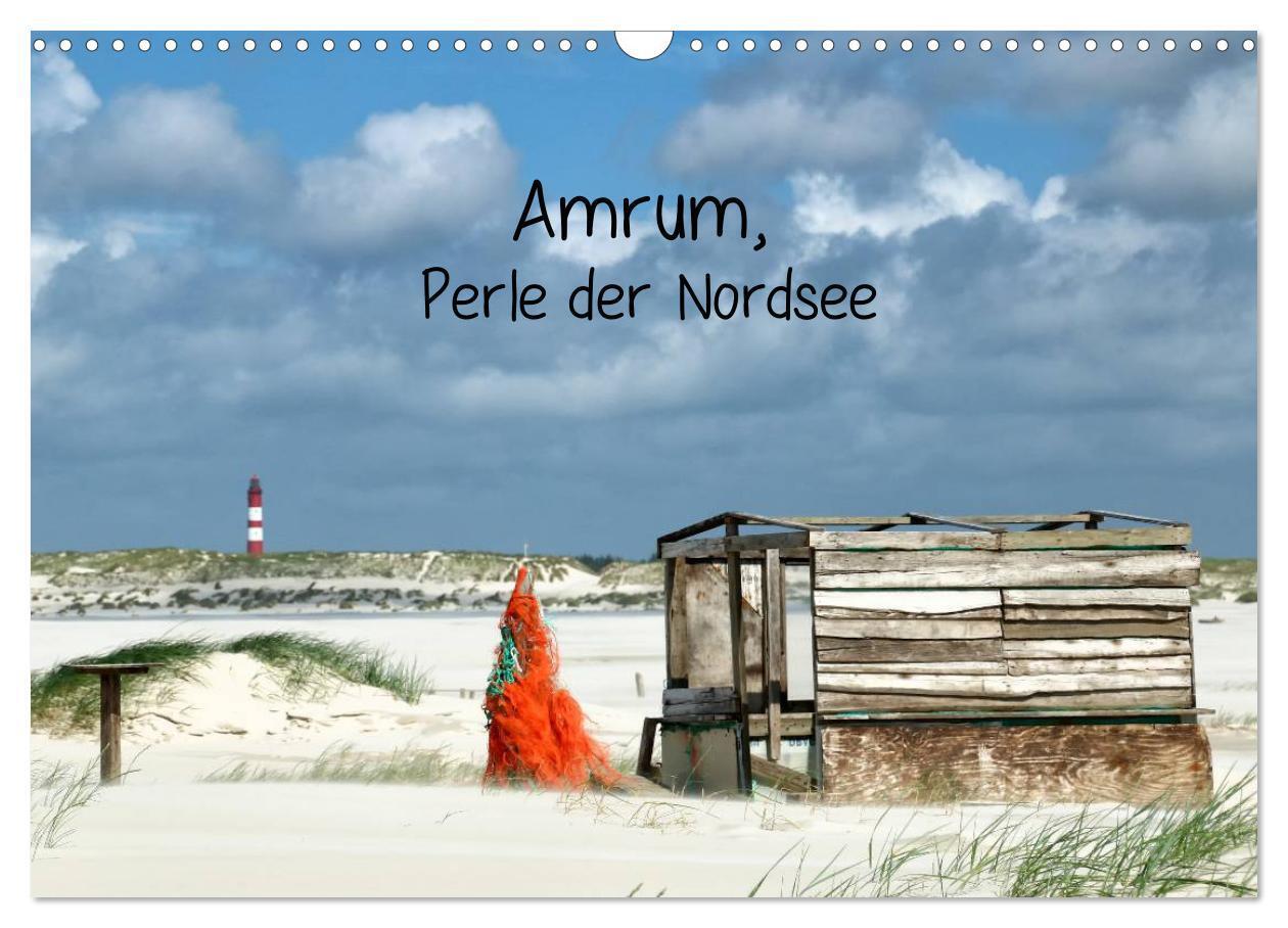 Cover: 9783435588633 | Amrum, Perle der Nordsee (Wandkalender 2025 DIN A3 quer), CALVENDO...