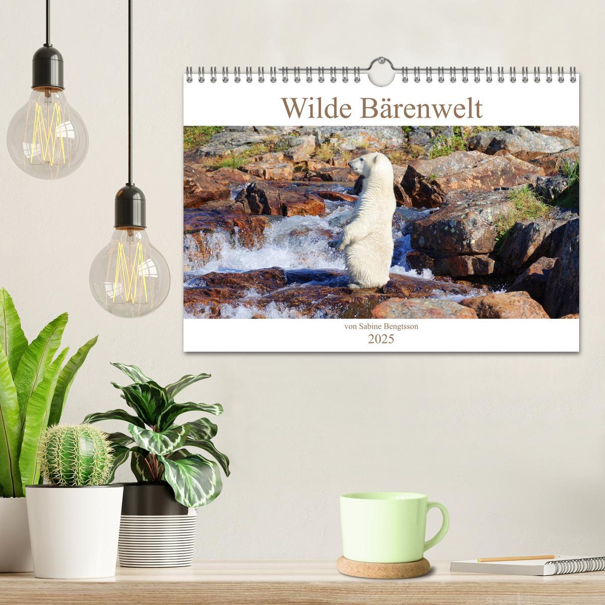 Bild: 9783383990687 | Wilde Bärenwelt (Wandkalender 2025 DIN A4 quer), CALVENDO...