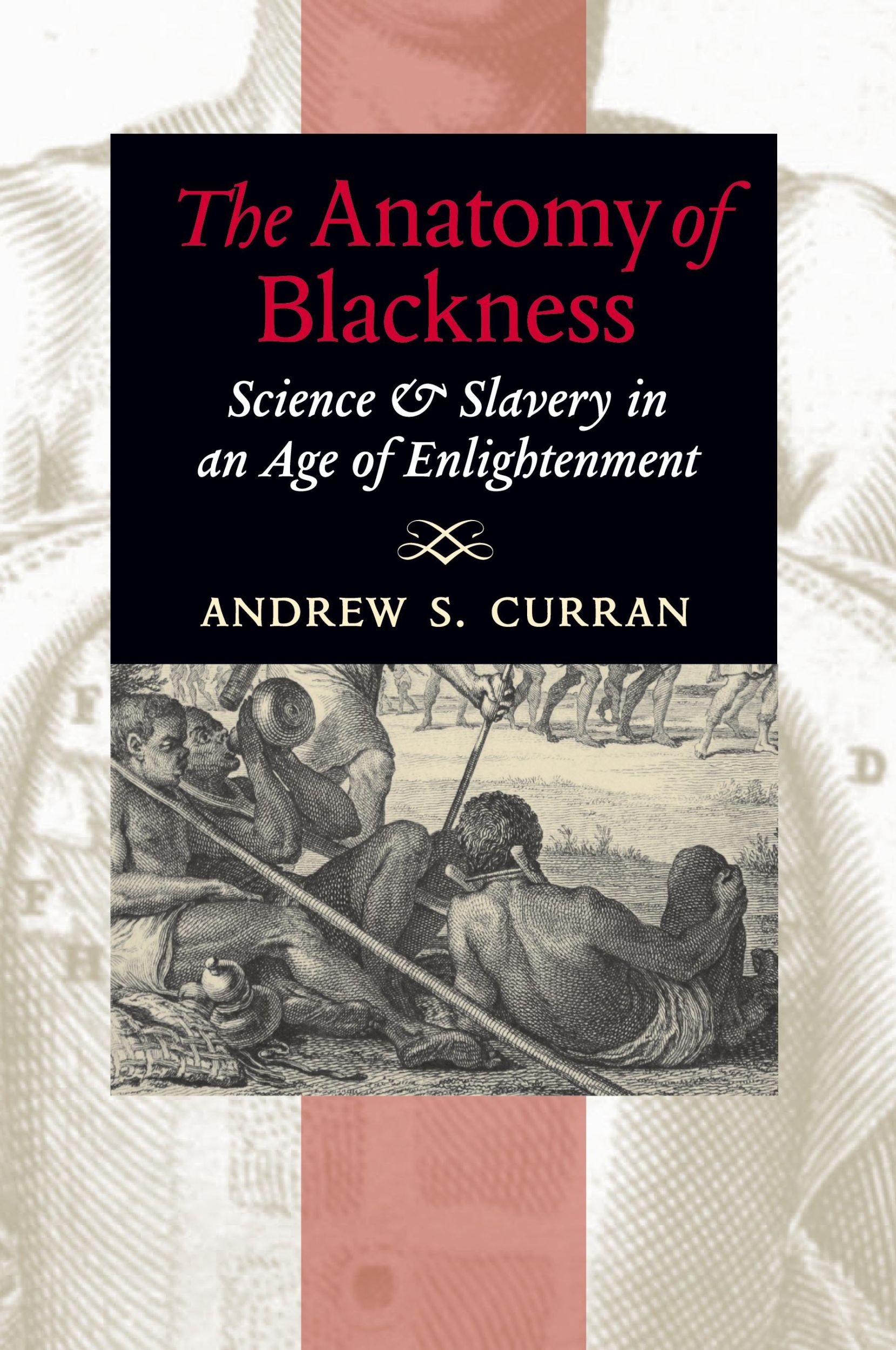 Cover: 9781421409658 | The Anatomy of Blackness | Andrew S. Curran | Taschenbuch | Englisch