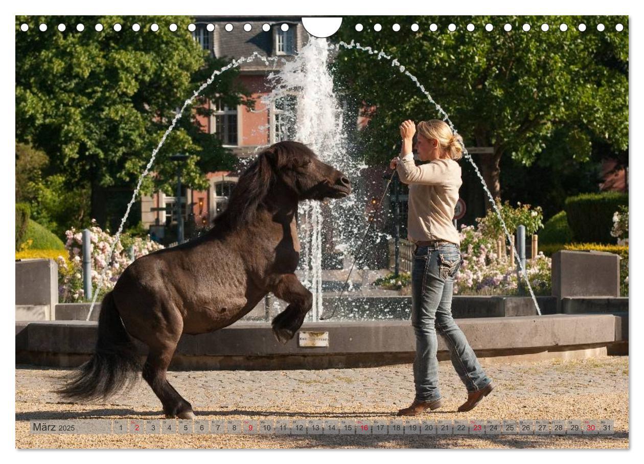 Bild: 9783435594160 | Natural Horsemanship - Partnerschaft mit Pferden (Wandkalender 2025...