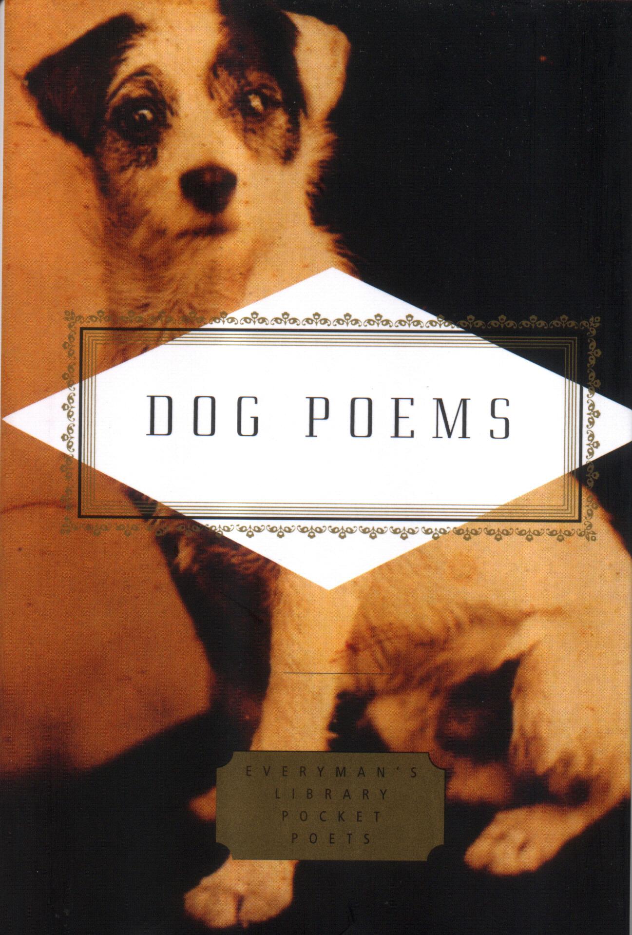 Cover: 9781841597560 | Dog Poems | Carmela Ciuraru | Buch | Gebunden | Englisch | 2003