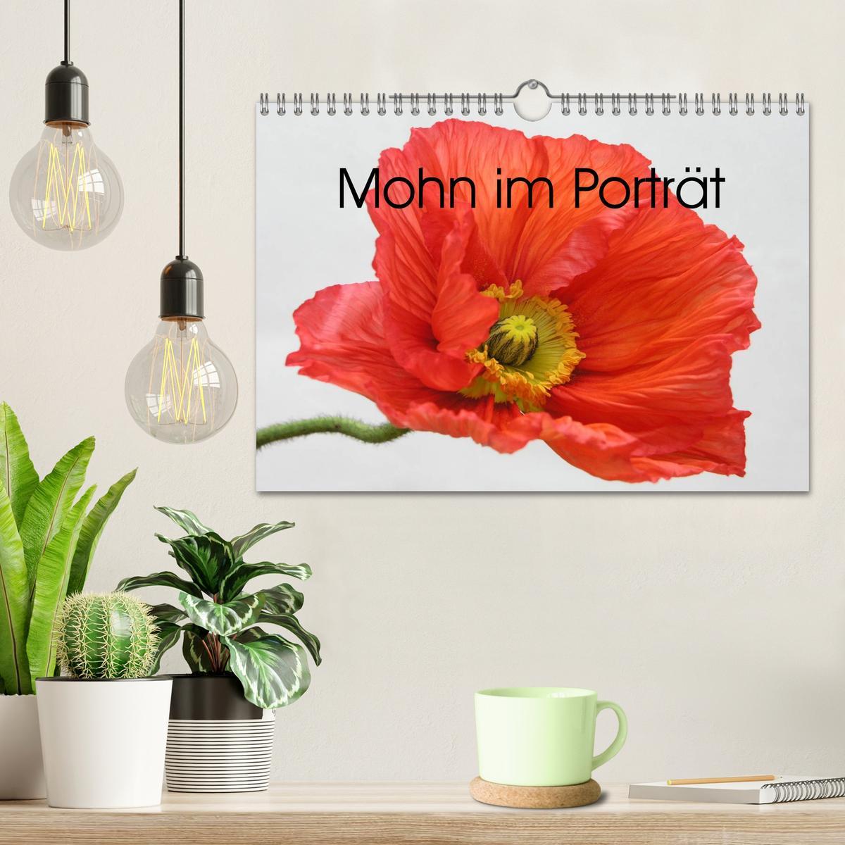 Bild: 9783435617517 | Mohn im Porträt (Wandkalender 2025 DIN A4 quer), CALVENDO...