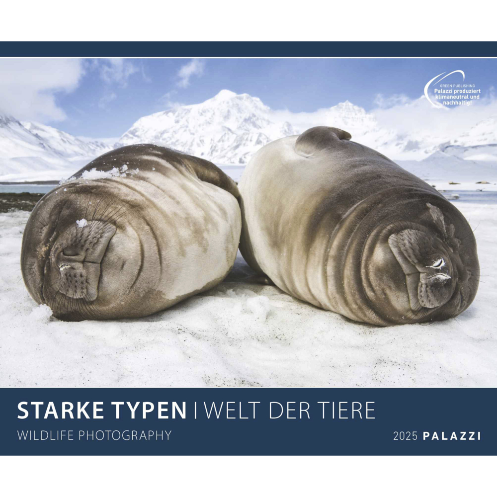 Cover: 4251734300720 | PALAZZI - Starke Typen 2025 Wandkalender, 70x50cm, Posterkalender...