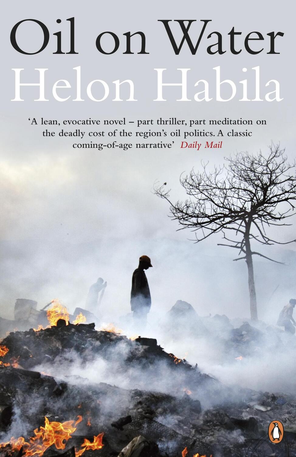 Cover: 9780141046846 | Oil on Water | Helon Habila | Taschenbuch | 216 S. | Englisch | 2011