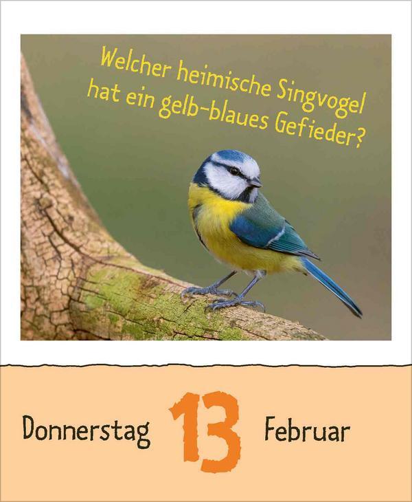 Bild: 9783731877479 | Wie faul ist das Faultier? 2025 | Verlag Korsch | Kalender | 328 S.