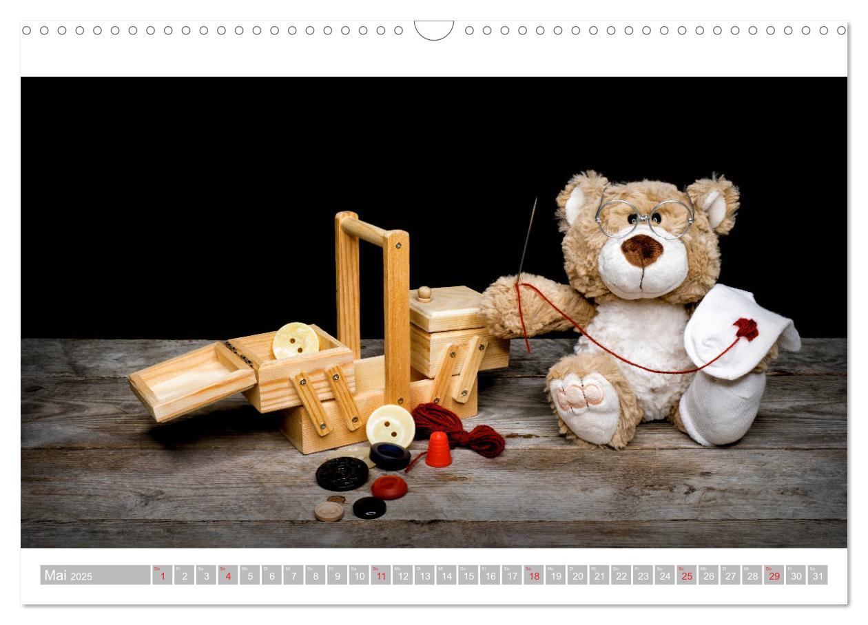 Bild: 9783435253432 | Eddy, der Teddy - 12 Bilder zum Schmunzeln (Wandkalender 2025 DIN...