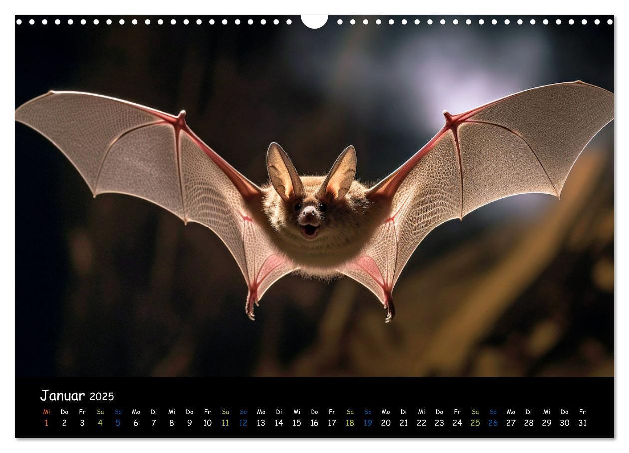 Bild: 9783457184226 | Fledermäuse - kleine Vampire (Wandkalender 2025 DIN A3 quer),...