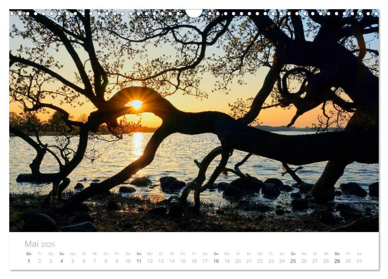 Bild: 9783435629251 | Zauberhafte Schlei (Wandkalender 2025 DIN A3 quer), CALVENDO...