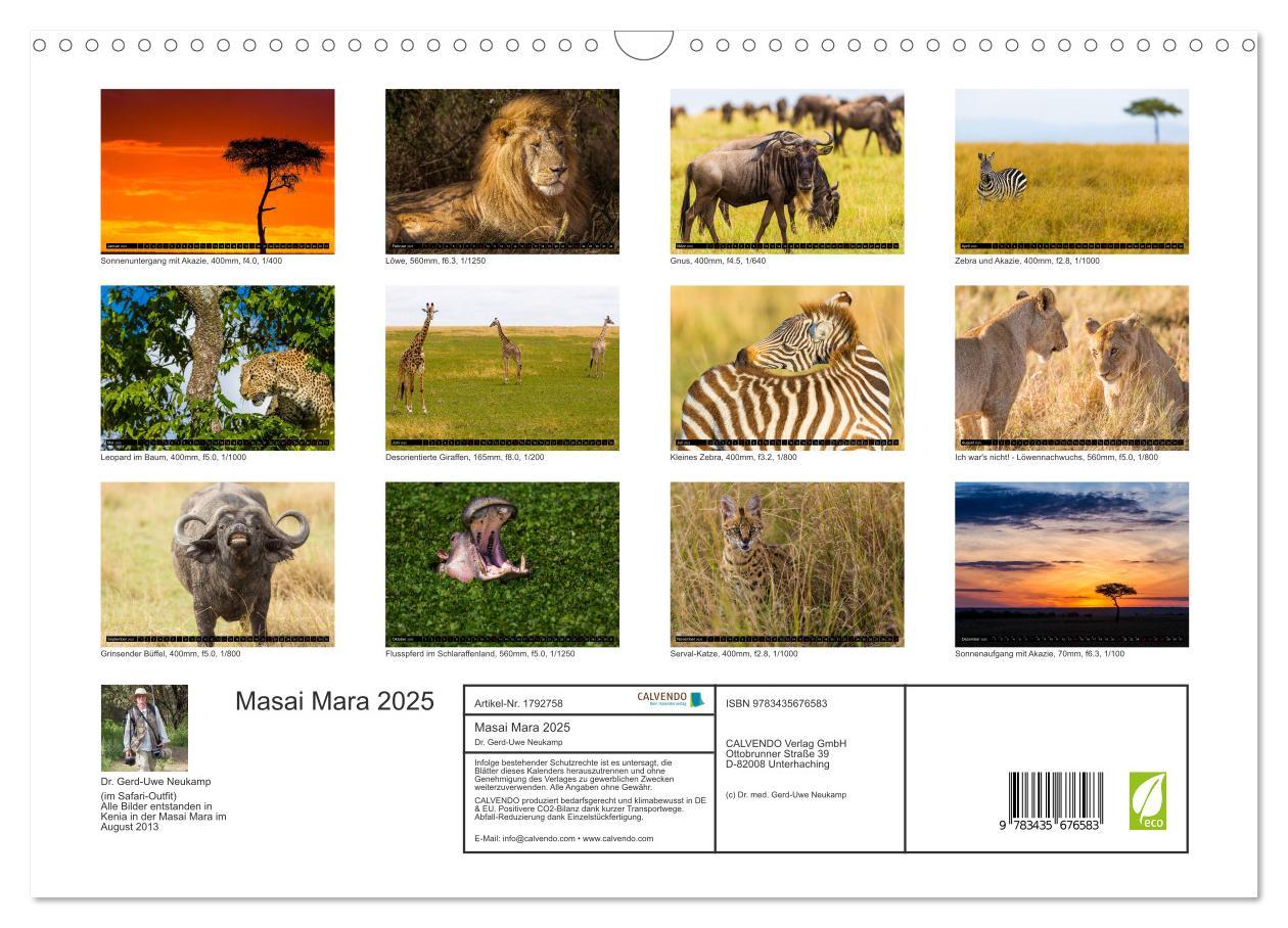 Bild: 9783435676583 | Masai Mara 2025 (Wandkalender 2025 DIN A3 quer), CALVENDO...