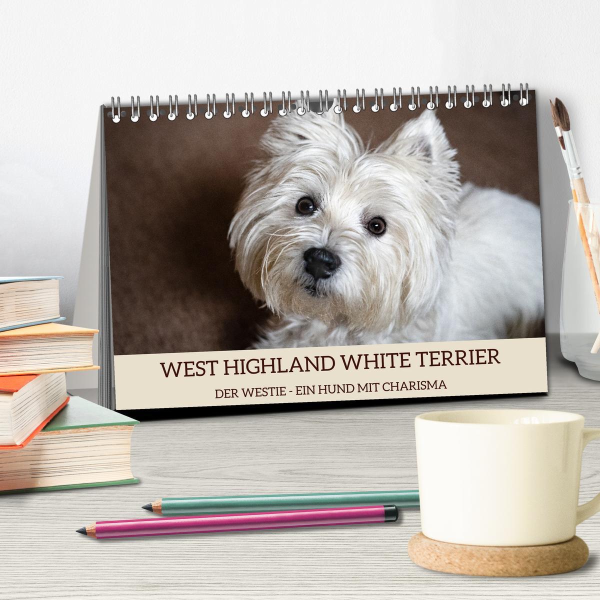 Bild: 9783383906770 | WEST HIGHLAND WHITE TERRIER - DER WESTIE - EIN HUND MIT CHARISMA...