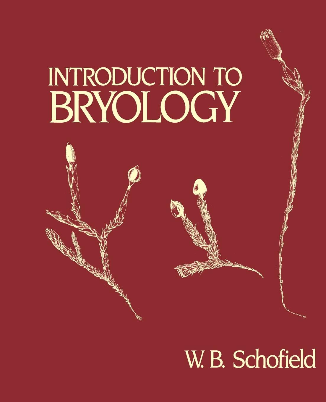 Cover: 9781930665262 | Introduction to Bryology | W. B. Schofield | Taschenbuch | Englisch