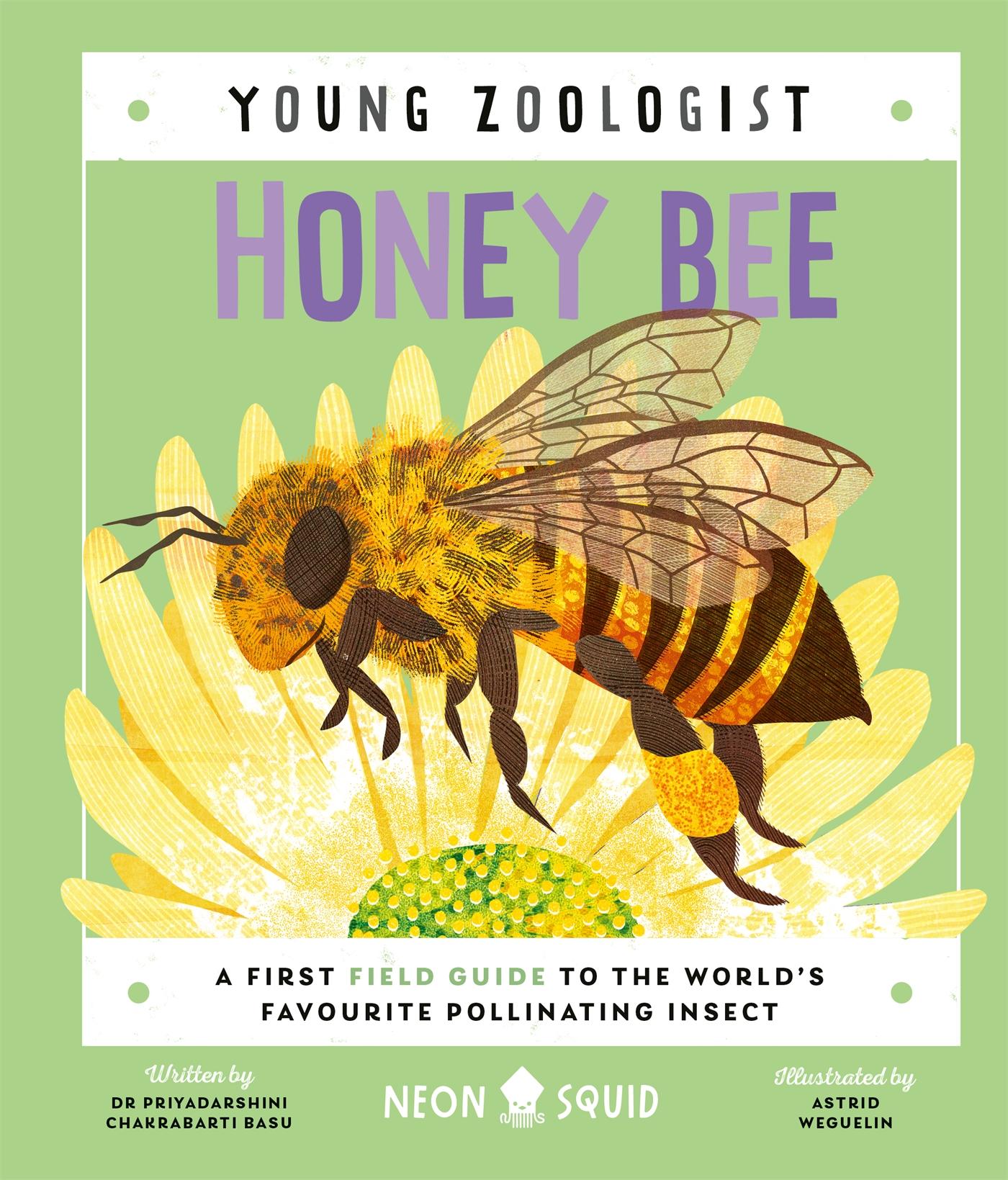 Cover: 9781838992712 | Honey Bee (Young Zoologist) | Neon Squid (u. a.) | Buch | Gebunden