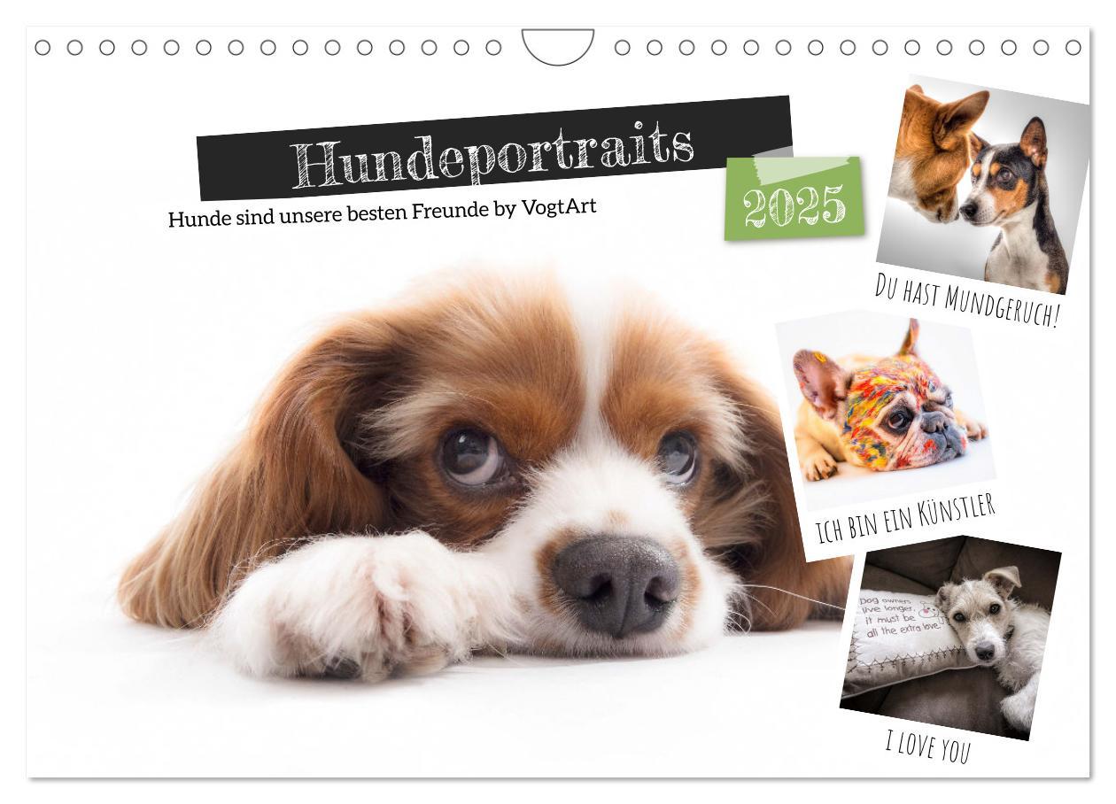 Cover: 9783383978517 | Hundeportraits, Hunde sind unsere besten Freunde by VogtArt...