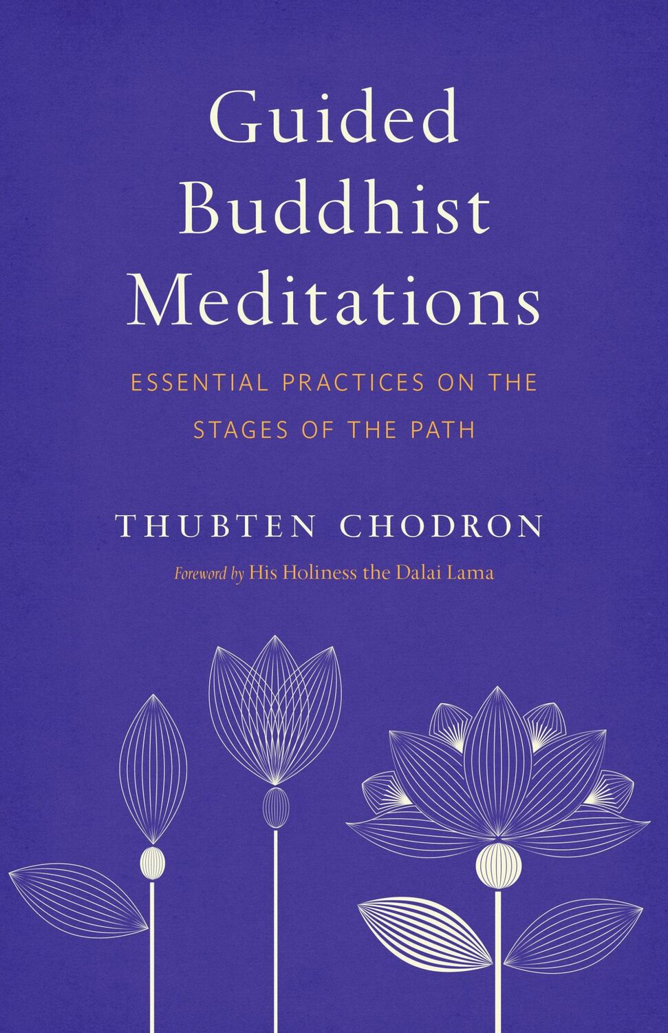 Cover: 9781611807301 | Guided Buddhist Meditations: Essential Practices on the Stages of...