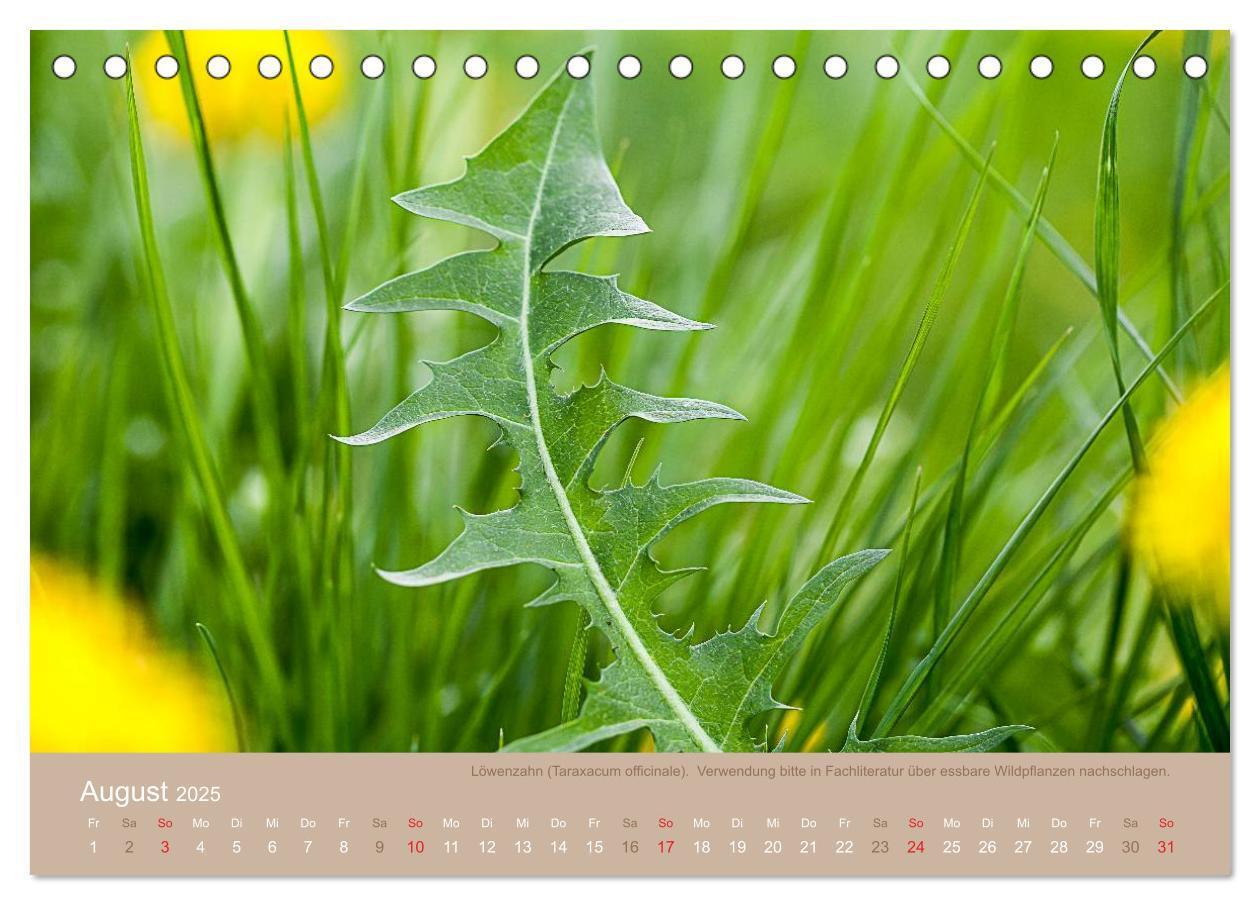 Bild: 9783435661688 | WILD, ESSBAR UND GESUND Essbare Wildpflanzen (Tischkalender 2025...