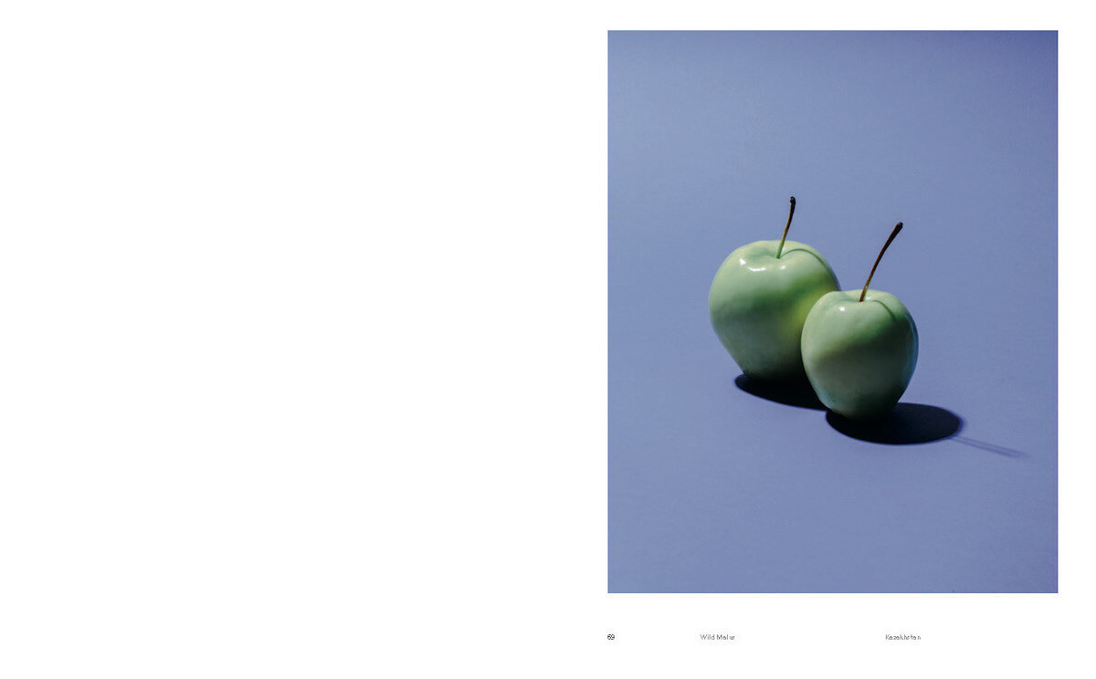 Bild: 9783775751155 | Odd Apples | (Special Edition) | A.A. Trabucco-Campos (u. a.) | Buch