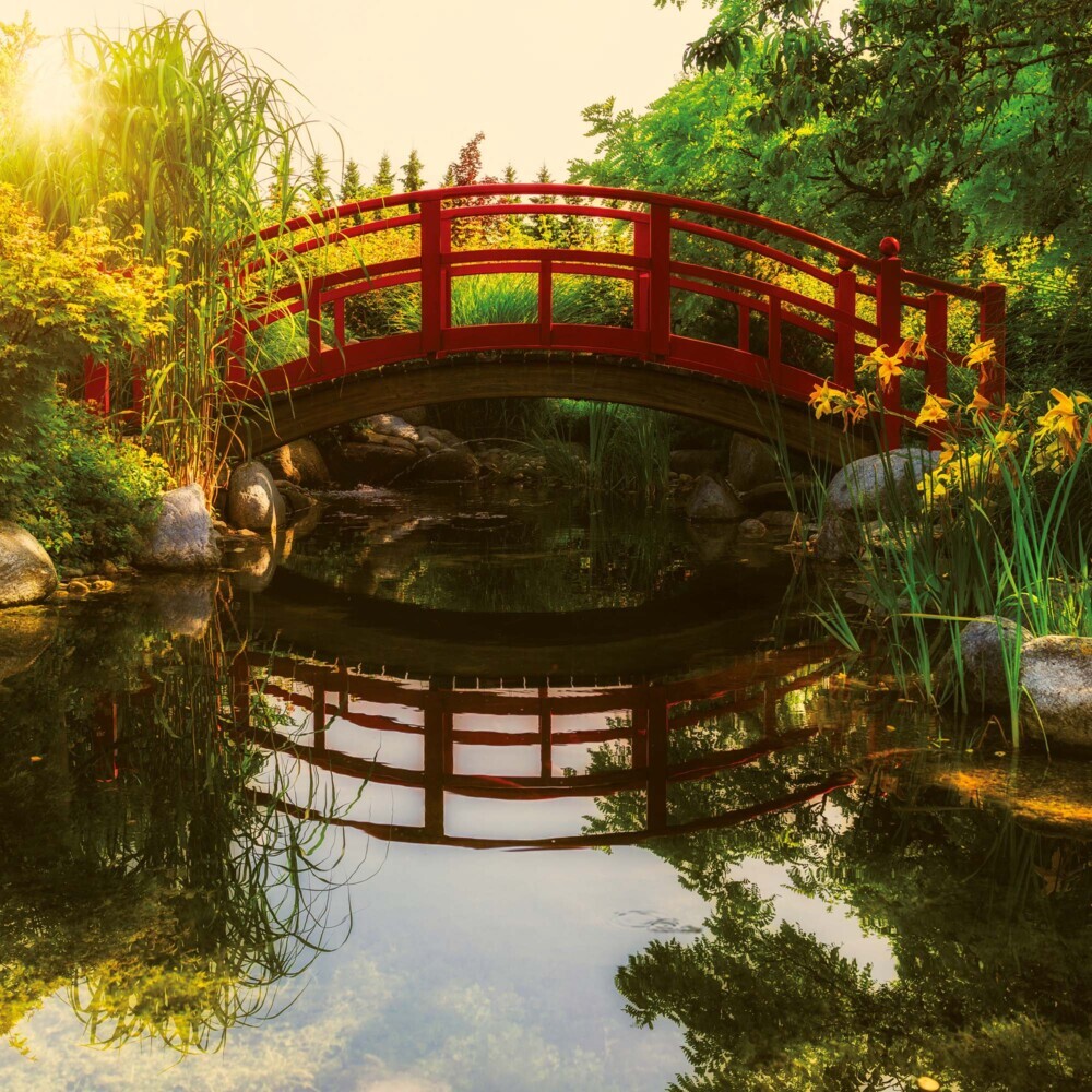 Bild: 9783959293853 | Japanese Garden 2025 | Kalender 2025 | Kalender | Drahtheftung | 28 S.