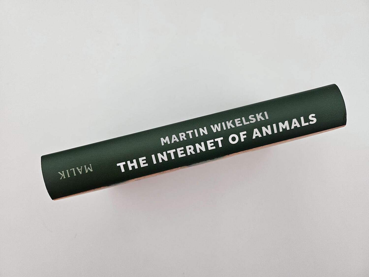 Bild: 9783890295619 | The Internet of Animals: Was wir von der Schwarmintelligenz des...