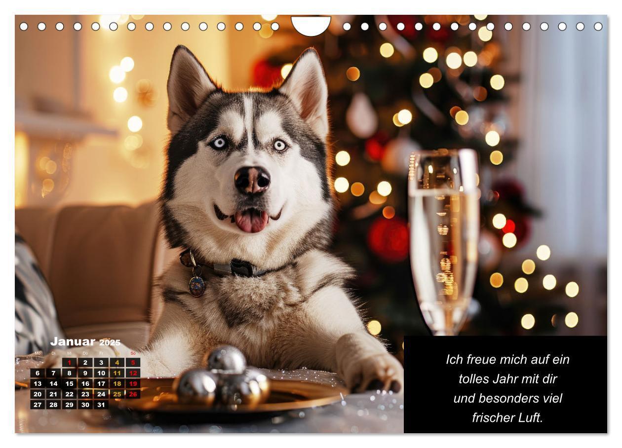 Bild: 9783435639878 | Der tierisch lustige Husky Kalender (Wandkalender 2025 DIN A4...