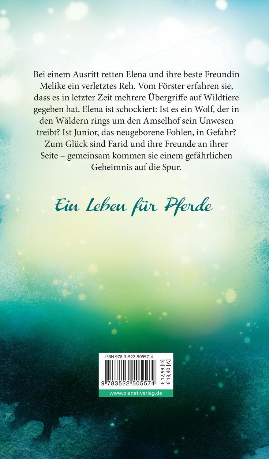 Rückseite: 9783522505574 | Elena - Ein Leben für Pferde 6: Eine falsche Fährte | Nele Neuhaus