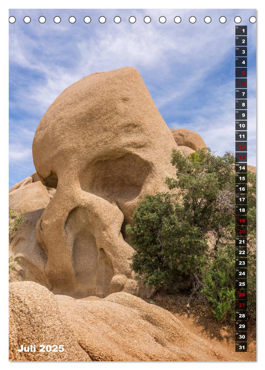 Bild: 9783435961108 | Impressionen aus dem JOSHUA TREE NATIONAL PARK (Tischkalender 2025...