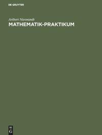 Cover: 9783486229363 | Mathematik-Praktikum | Aribert Nieswandt | Buch | 383 S. | Deutsch