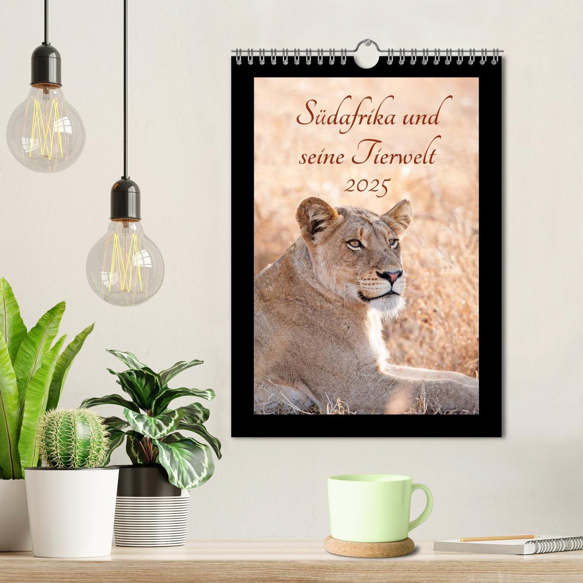 Bild: 9783457029428 | Südafrika und seine Tierwelt (Wandkalender 2025 DIN A4 hoch),...