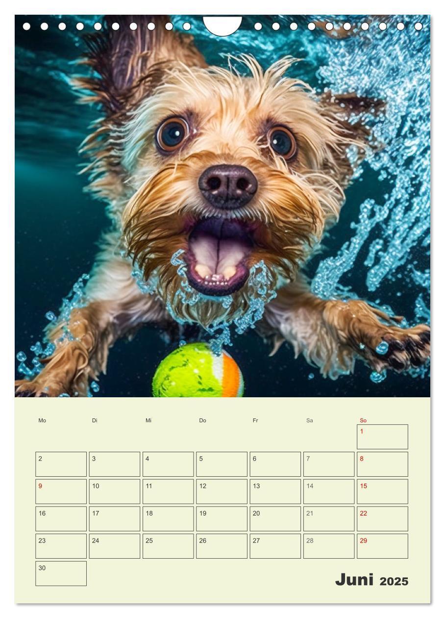 Bild: 9783435869886 | Yorkshire Terrier. Fröhliche Energiebündel in Aktion (Wandkalender...