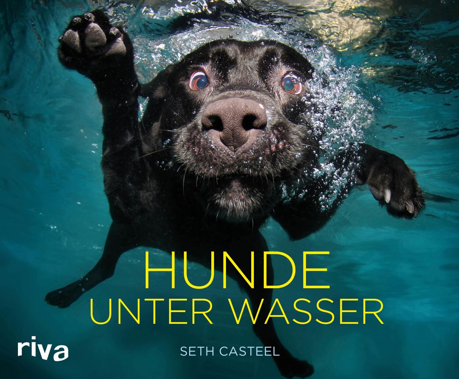 Cover: 9783742311740 | Hunde unter Wasser | Seth Casteel | Buch | 132 S. | Deutsch | 2019