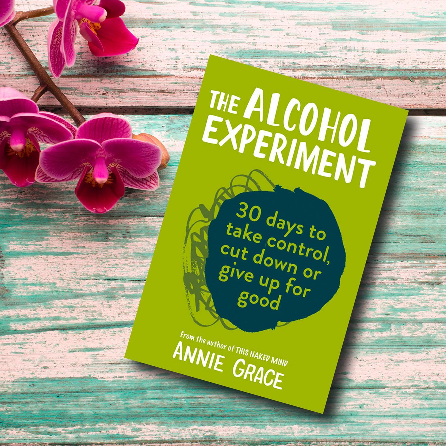 Bild: 9780008293505 | The Alcohol Experiment | Annie Grace | Taschenbuch | Englisch | 2019