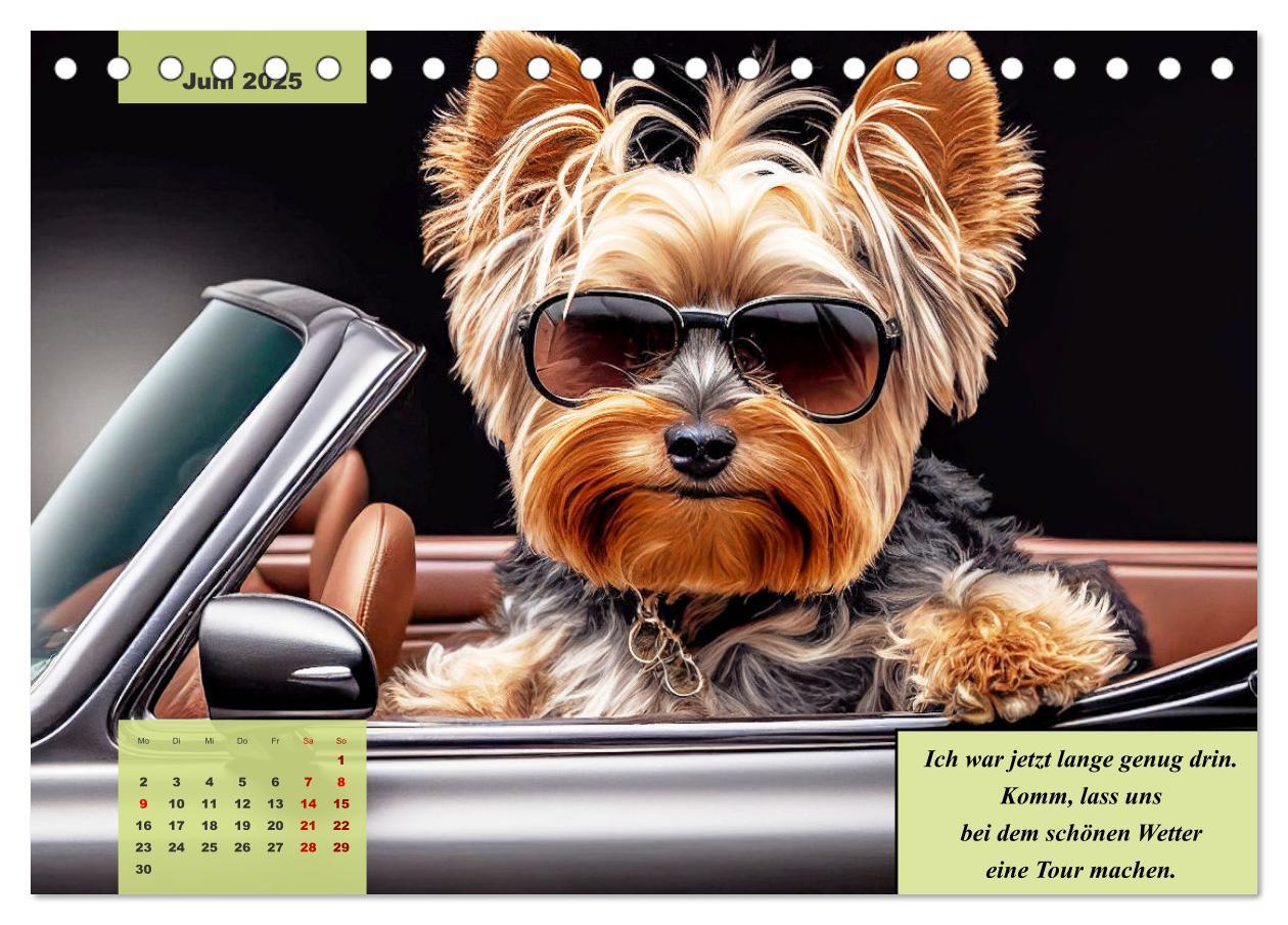 Bild: 9783383876707 | Der humoristische Yorkshire Terrier Kalender (Tischkalender 2025...