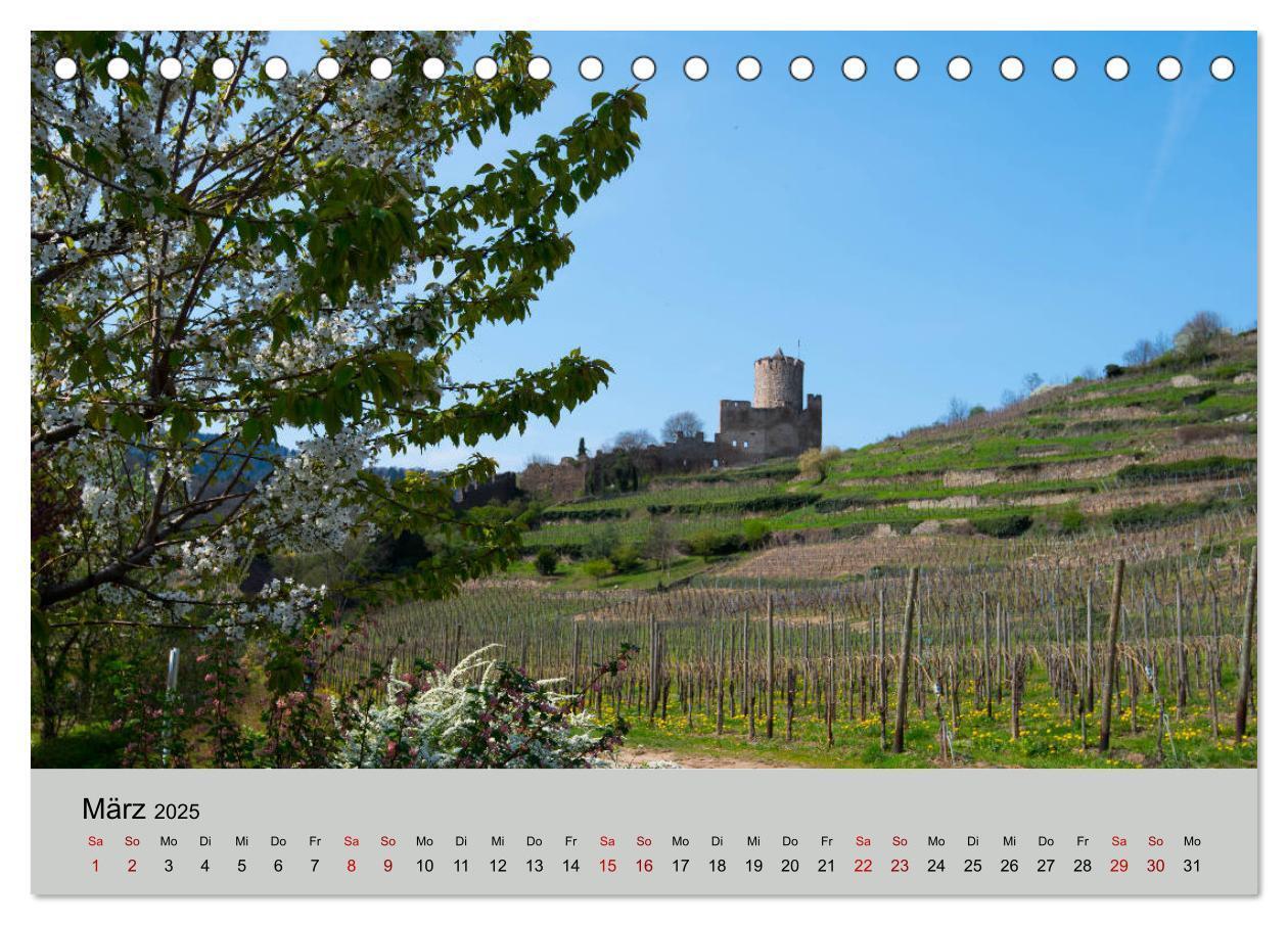 Bild: 9783435348435 | Die Weinstaße im Elsass (Tischkalender 2025 DIN A5 quer), CALVENDO...